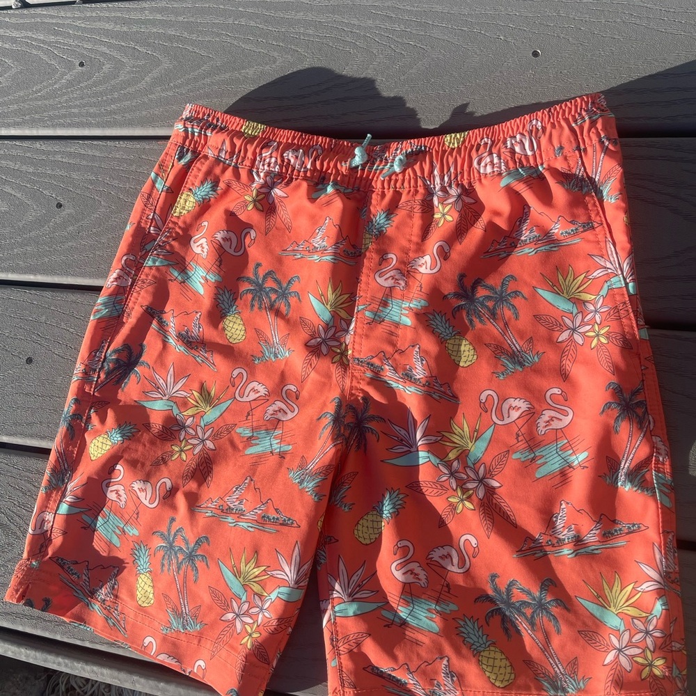 Vibrant Flamingo Print Men's Board Shorts